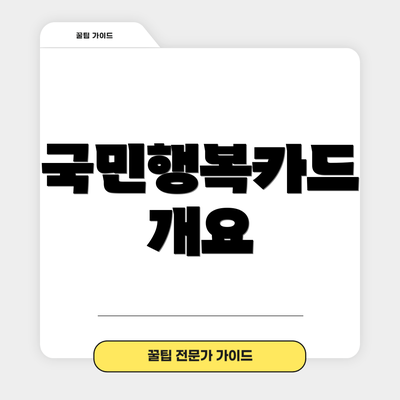 국민행복카드 개요