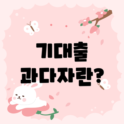 기대출 과다자란?