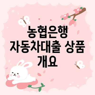 농협은행 자동차대출 상품 개요