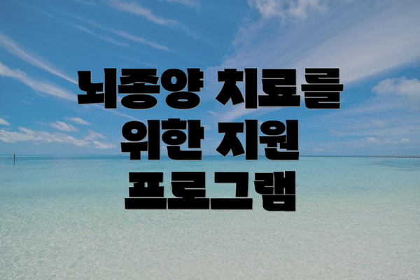 뇌종양 치료를 위한 지원 프로그램