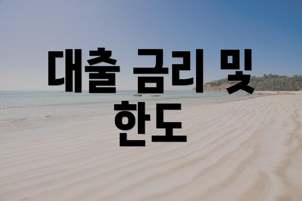 대출 금리 및 한도