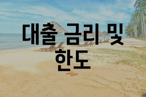 대출 금리 및 한도