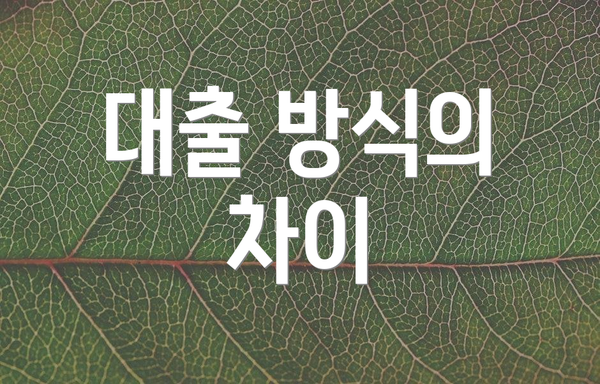 대출 방식의 차이