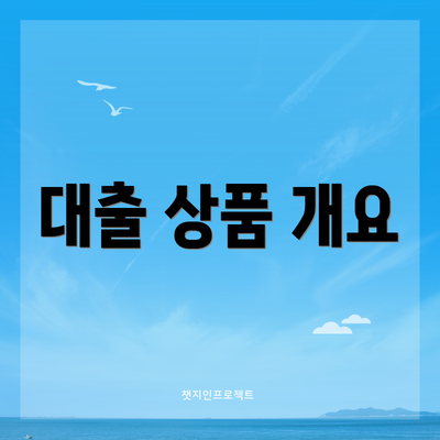 대출 상품 개요