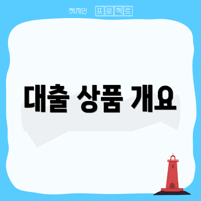 대출 상품 개요