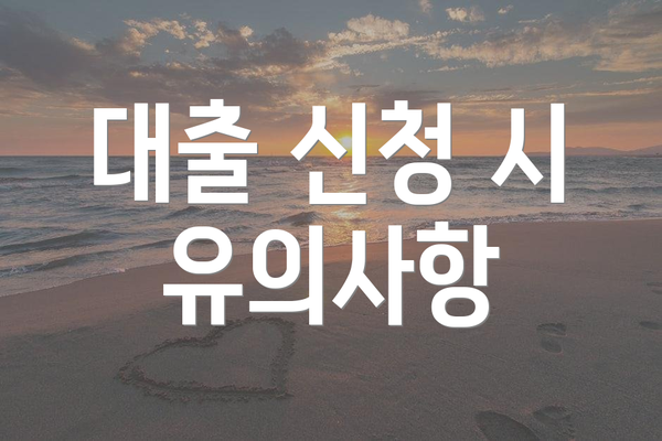 대출 신청 시 유의사항