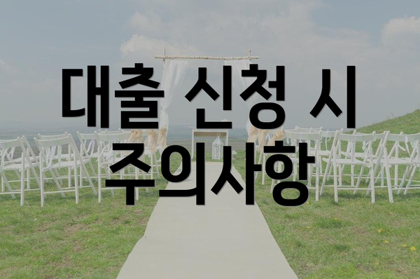 대출 신청 시 주의사항