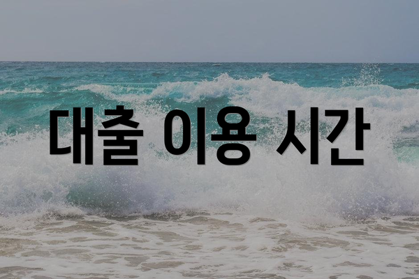 대출 이용 시간