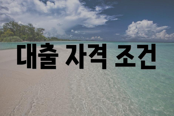 대출 자격 조건