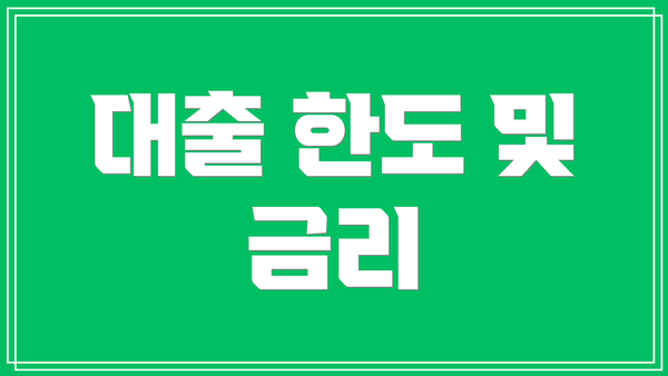 대출 한도 및 금리