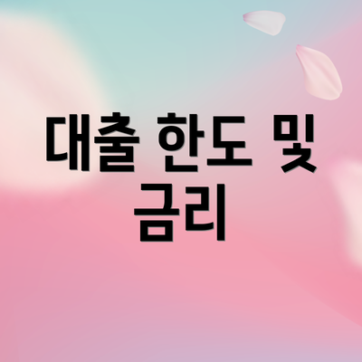 대출 한도 및 금리