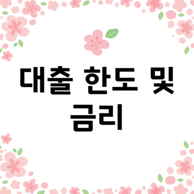 대출 한도 및 금리