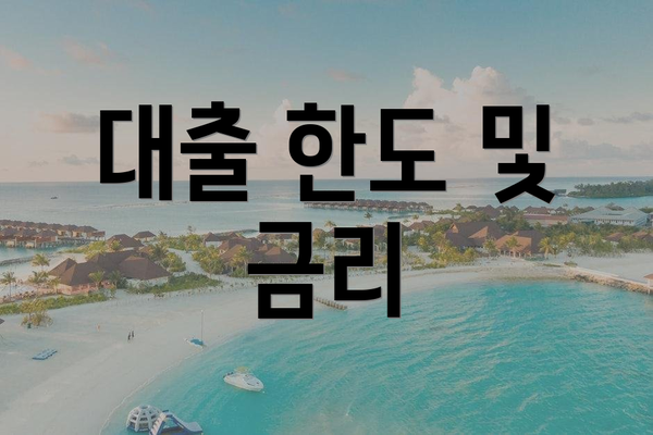 대출 한도 및 금리