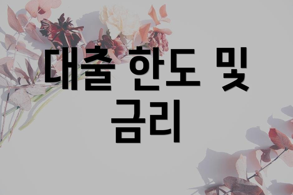 대출 한도 및 금리