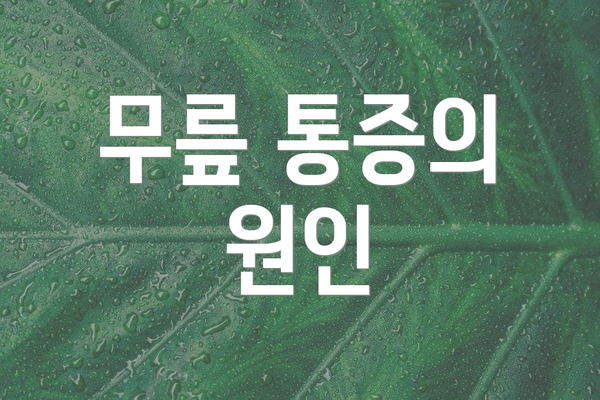 무릎 통증의 원인