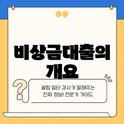 비상금대출의 개요