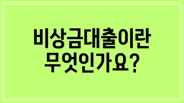 비상금대출이란 무엇인가요?