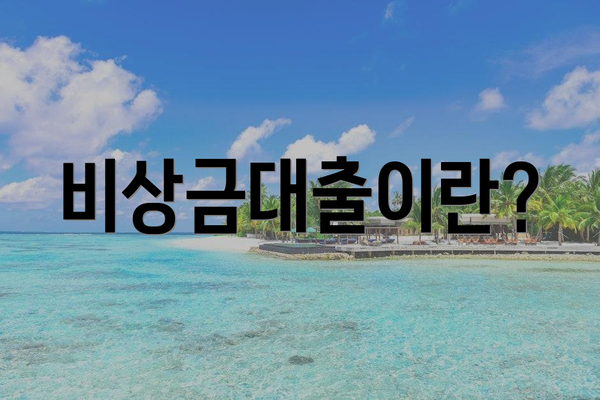 비상금대출이란?