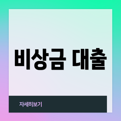 비상금 대출