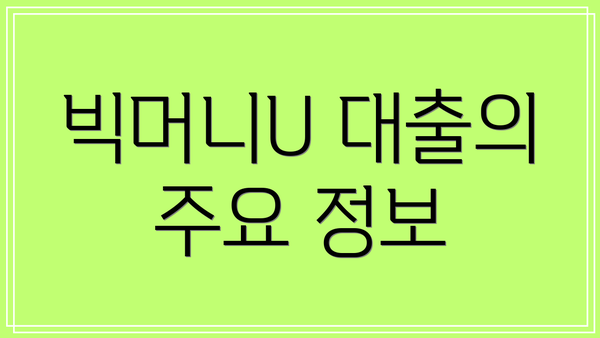 빅머니U 대출의 주요 정보