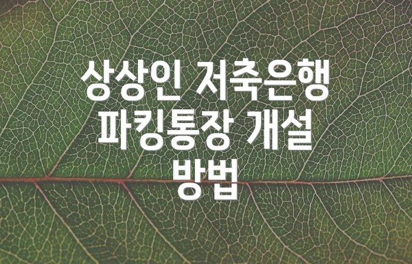상상인 저축은행 파킹통장 개설 방법