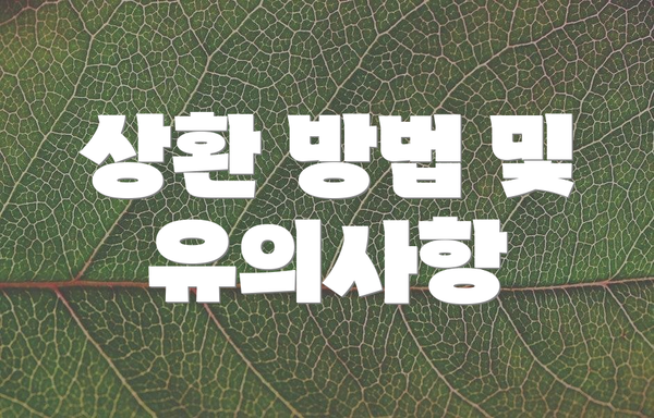 상환 방법 및 유의사항