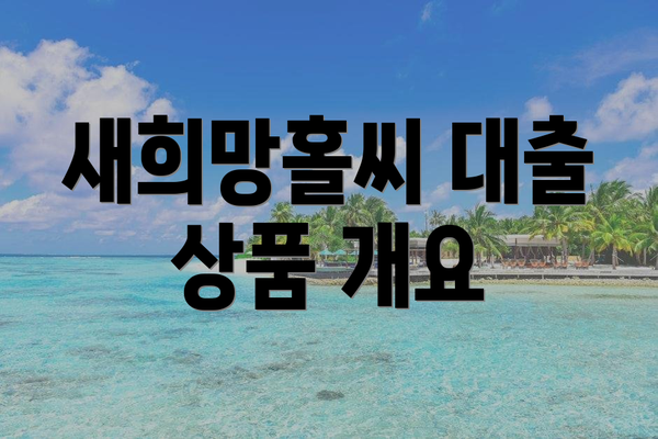 새희망홀씨 대출 상품 개요