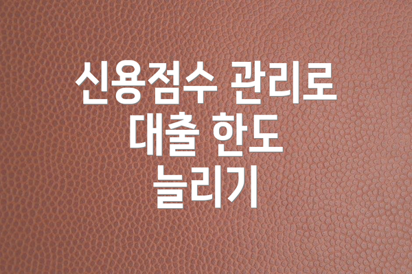 신용점수 관리로 대출 한도 늘리기