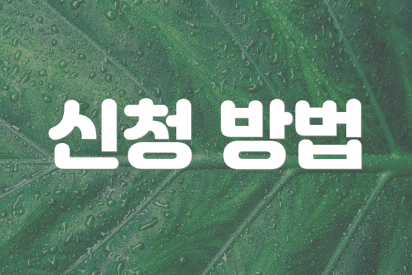 신청 방법