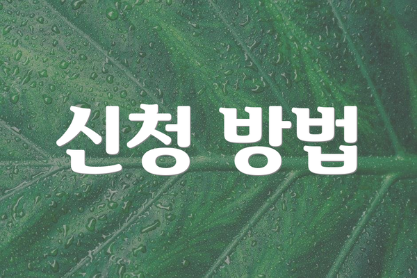 신청 방법