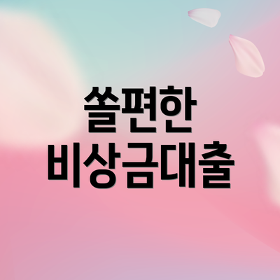 쏠편한 비상금대출