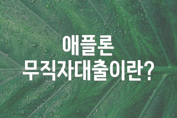 애플론 무직자대출이란?