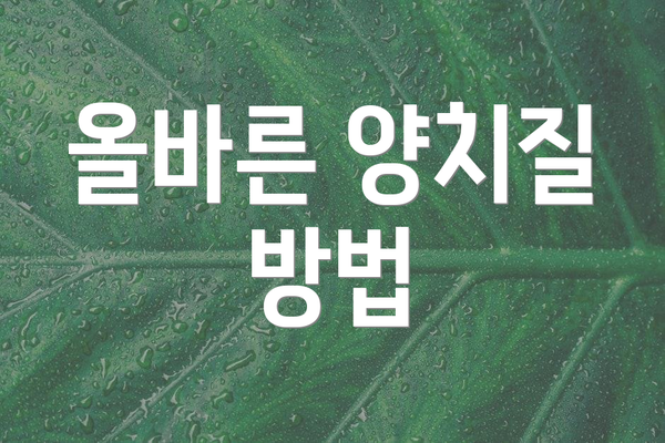 올바른 양치질 방법