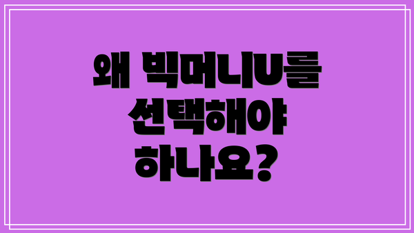 왜 빅머니U를 선택해야 하나요?