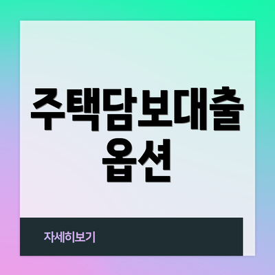 주택담보대출 옵션