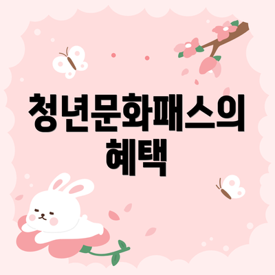 청년문화패스의 혜택