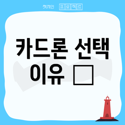 카드론 선택 이유 🤔