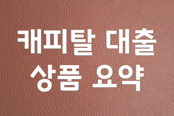 캐피탈 대출 상품 요약