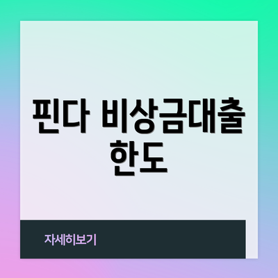 핀다 비상금대출 한도