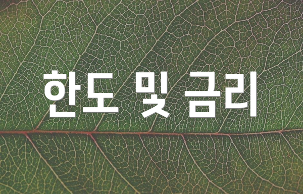 한도 및 금리