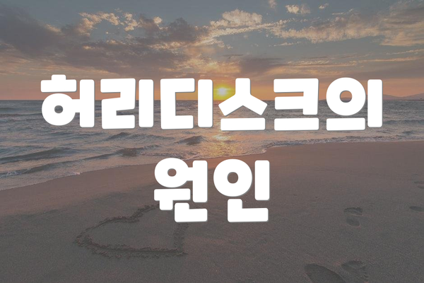 허리디스크의 원인