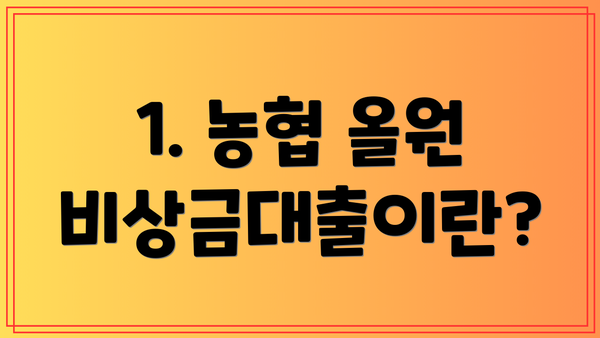 1. 농협 올원 비상금대출이란?