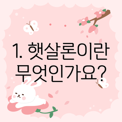 1. 햇살론이란 무엇인가요?