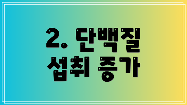 2. 단백질 섭취 증가