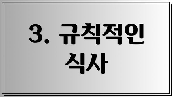 3. 규칙적인 식사