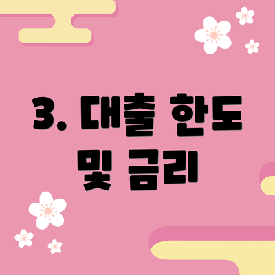 3. 대출 한도 및 금리