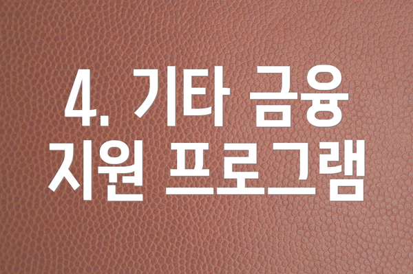 4. 기타 금융 지원 프로그램