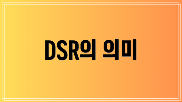 DSR의 의미