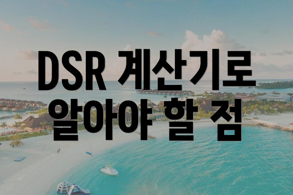 DSR 계산기로 알아야 할 점