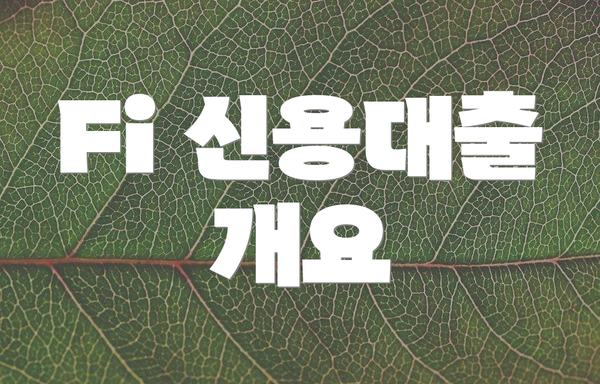 Fi 신용대출 개요